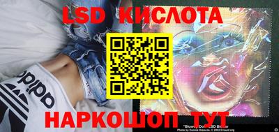 стафф Можга