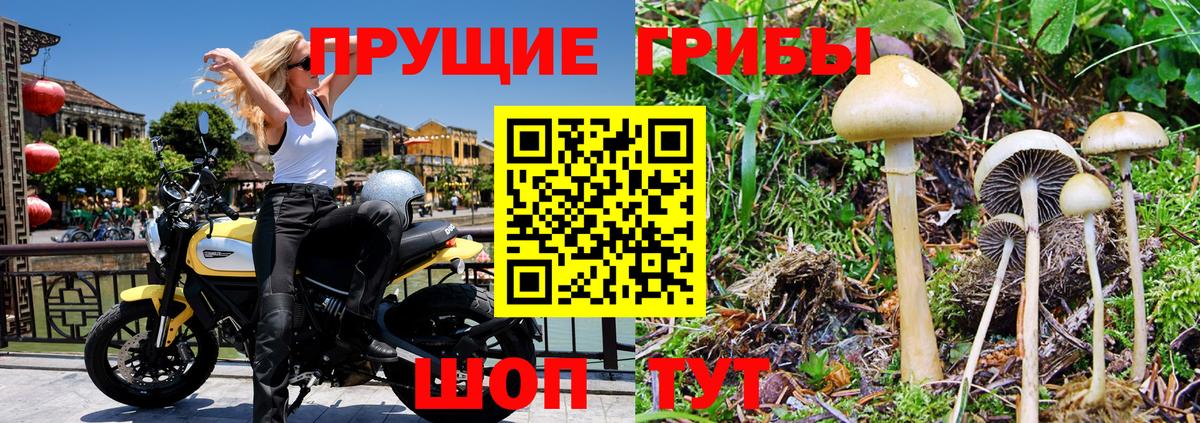 Псилоцибиновые грибы прущие грибы  Вход с VPN  Губкинский 