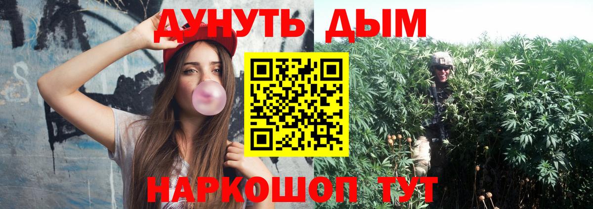 Конопля OG Kush Губкинский